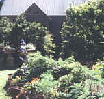 Kattemingga Lodge - Accommodation Yamba