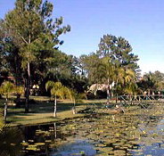 Twin Lakes Hotel - Accommodation Yamba