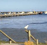 Seaview Motel and Holiday Units - Accommodation Yamba