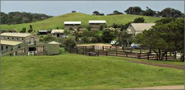 Cape Schanck VIC Accommodation Yamba
