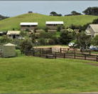 Ace Hi Riding Ranch - Accommodation Yamba