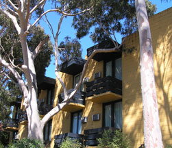 Pathfinder Motel - Accommodation Yamba 1