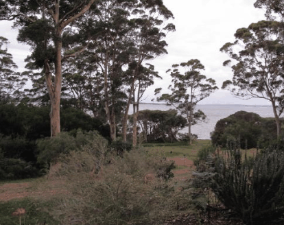 The Denmark Waterfront - Accommodation Yamba