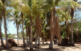 King Sound Resort Hotel - Accommodation Yamba