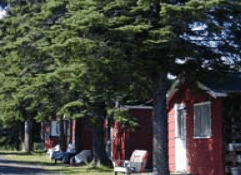 The Pines Resort - Accommodation Yamba 3