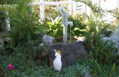 Kingfisher Motel - Accommodation Yamba 3