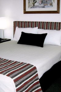 Cattle City Motor Inn - Accommodation Yamba 1