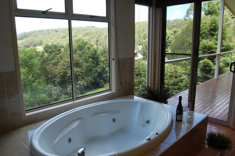 Sketches Mountain Resort - Accommodation Yamba 3