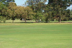 Beach Motor Inn - Accommodation Yamba 7