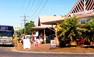 Mission Beach Rainforest Motel - Accommodation Yamba 0