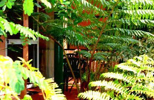 Mission Beach Rainforest Motel - Accommodation Yamba 3