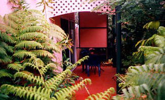 Mission Beach Rainforest Motel - Accommodation Yamba 4