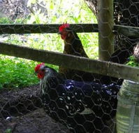 Norma's Place - Accommodation Yamba