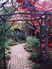 Adelaide Hills Country Cottages - The Nest - Accommodation Yamba 2