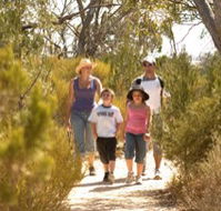 Long Island Caravan Park Cabins - Accommodation Yamba