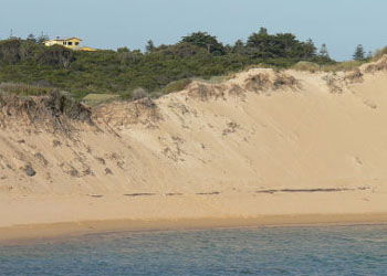 Ark Bed And Breakfast - Accommodation Yamba 1