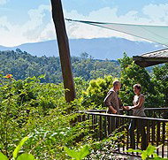 Rose Gums Wilderness Retreat - Accommodation Yamba