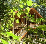 Rivers Edge Rainforest Retreat - Accommodation Yamba