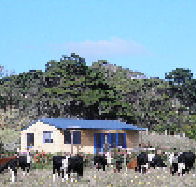 Marrawah Beach House - Accommodation Yamba