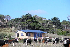 Marrawah Beach House - Accommodation Yamba 0