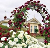 Golden Embers Apartments and B and B - Accommodation Yamba