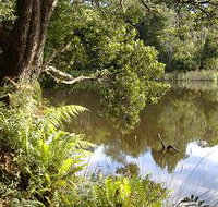 Weldborough Camping Ground - Accommodation Yamba