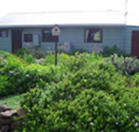 Engadine Cottage - Accommodation Yamba