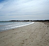 Greens Beach Caravan Park - Accommodation Yamba