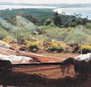 Morella Island Retreats P/L - Accommodation Yamba