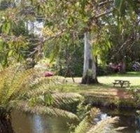 Northeast Park - Accommodation Yamba