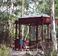 Telopea - Accommodation Yamba