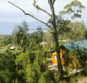 Partridge Farm - Accommodation Yamba