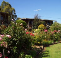 Mole Creek Holiday Village - Accommodation Yamba