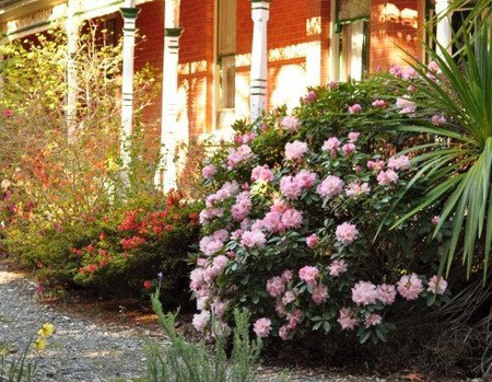 Ormiston House - Accommodation Yamba 3