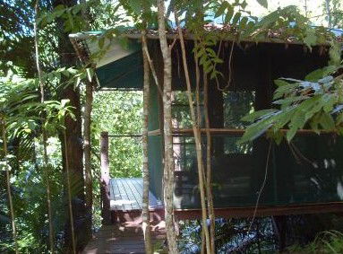 Sanctuary Retreat - Accommodation Yamba 0