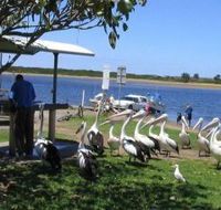 Mountain View Caravan and Mobile Home Village - Accommodation Yamba