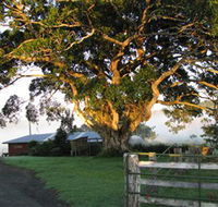 Arley Farm The Old Dairy - Accommodation Yamba