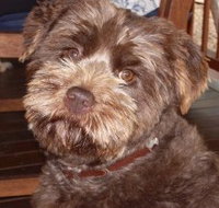 Lagoon Pocket Bed and Breakfast - Accommodation Yamba