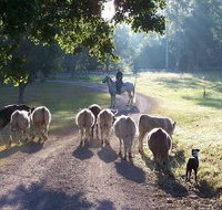 Brooloo Park - Accommodation Yamba