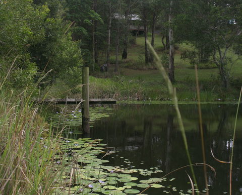 Maleny Country Cottages - Accommodation Yamba 4