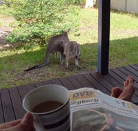Bush and Bay Cottage - Accommodation Yamba
