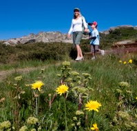 Horizons Apartment 407 - Accommodation Yamba