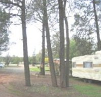 The Kelpie Caravan Park - Accommodation Yamba