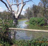 The Shanty Waterside Cottages - Accommodation Yamba