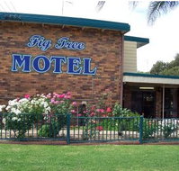 Fig Tree Motel - Accommodation Yamba