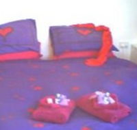 Aloomba Lavender - Accommodation - Accommodation Yamba