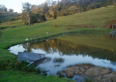 Barkeldine Farm Country Retreat - Accommodation Yamba 0