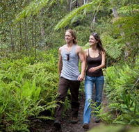Blackheath Glen Tourist Park - Accommodation Yamba