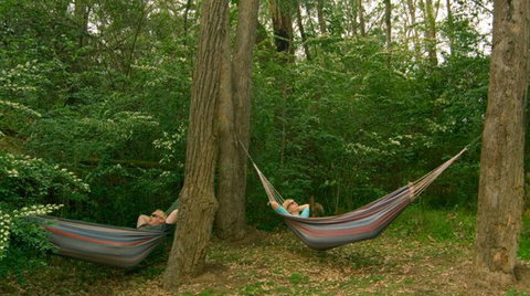 Bingle Tree Retreat - Accommodation Yamba 1