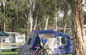 BIG4 Lake Macquarie - Monterey Tourist Park - Accommodation Yamba 5